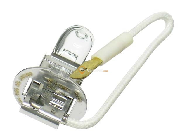 Bulb