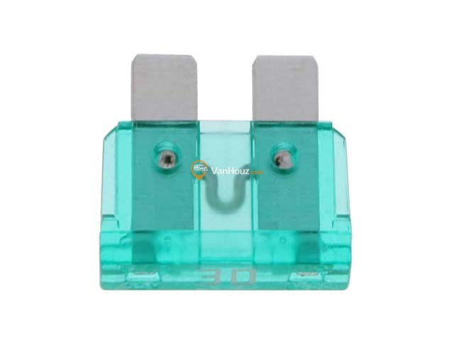 Fuse - 30 Amp