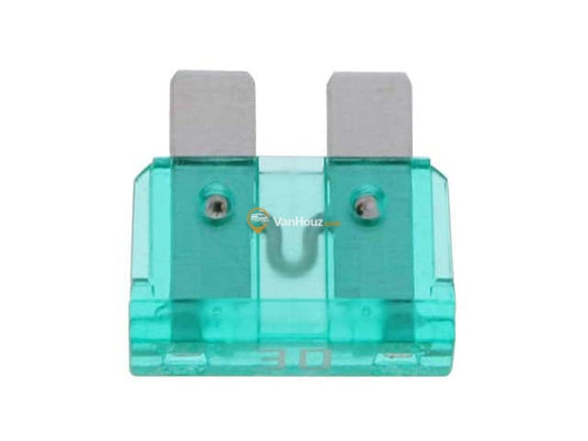Fuse - 30 Amp