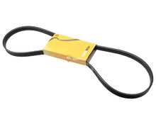 Belt 5PK X 1120