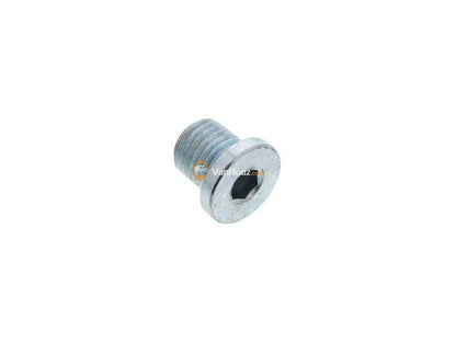 Engine Oil Drain Plug