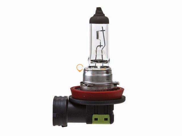 Bulb
