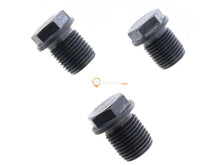 Engine Oil Drain Plug