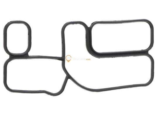Engine Oil Cooler Gasket