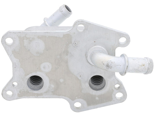 Engine Oil Cooler