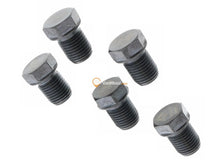 Engine Oil Drain Plug