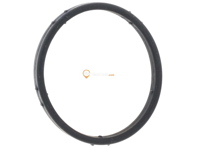 Water Pump O-Ring