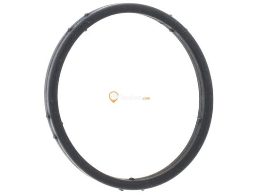 Water Pump O-Ring