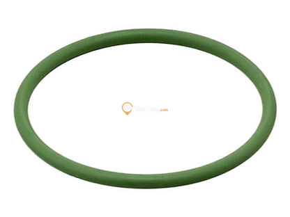 Fuel Pump O-Ring