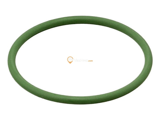 Fuel Pump O-Ring