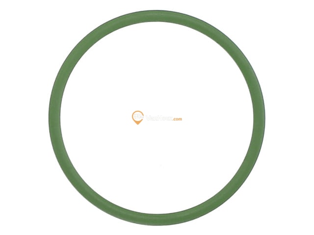 Fuel Pump O-Ring
