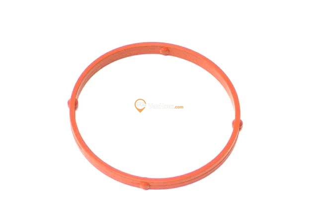 Plenum Gasket