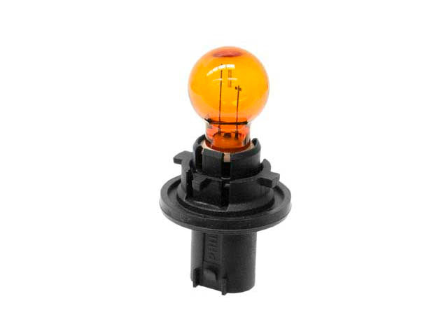 Bulb