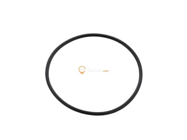 Thermostat O-Ring