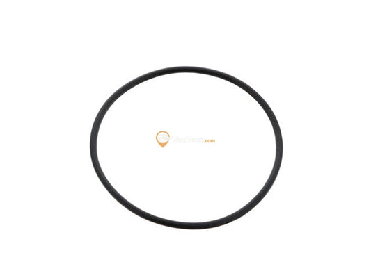 Thermostat O-Ring