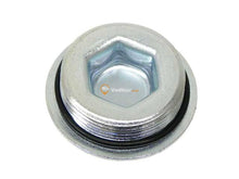Threaded Plug
