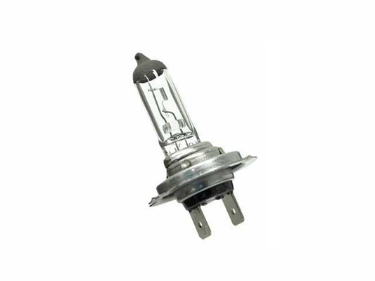 Bulb