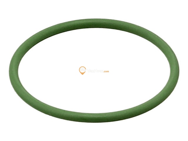 Fuel Pump O-Ring