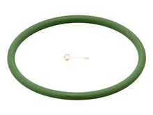 Fuel Pump O-Ring
