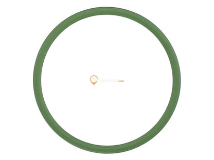 Fuel Pump O-Ring
