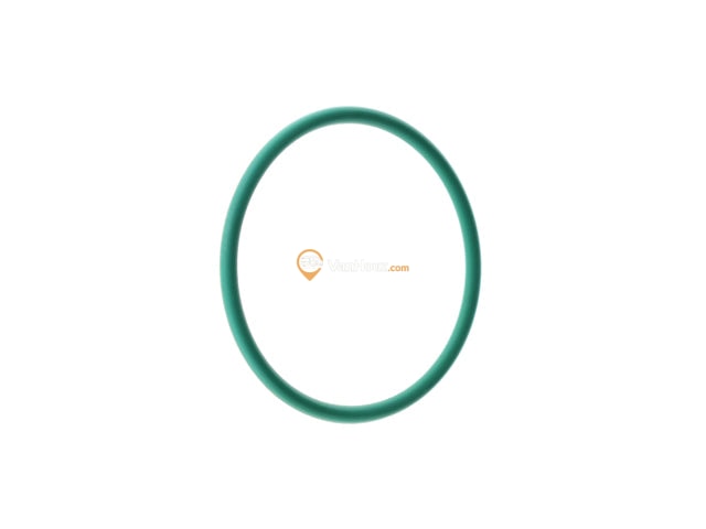 Fuel Pump Seal