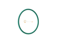 Fuel Pump Seal