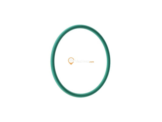 Fuel Pump Seal