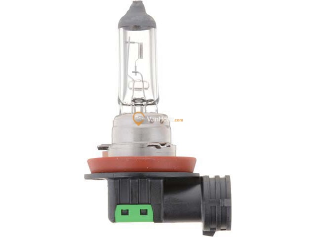 Bulb