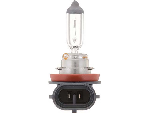 Bulb